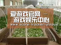 环境展示五
