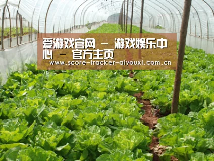 种植基地五