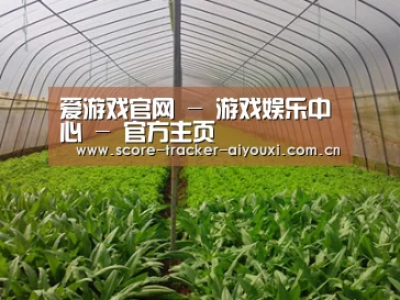 种植基地四