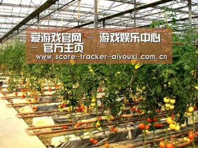 种植基地二(图1)